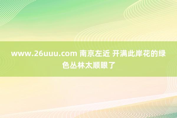 www.26uuu.com 南京左近 开满此岸花的绿色丛林太顺眼了