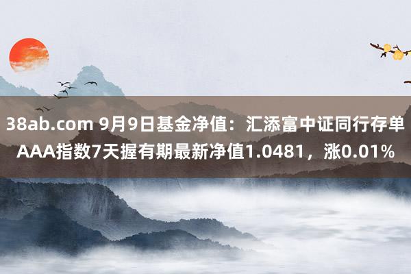 38ab.com 9月9日基金净值：汇添富中证同行存单AAA指数7天握有期最新净值1.0481，涨0.01%