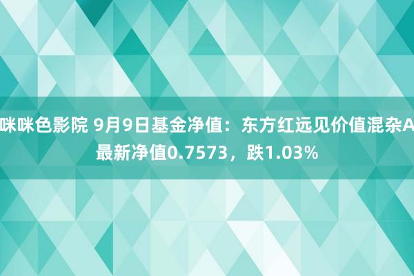 咪咪色影院 9月9日基金净值：东方红远见价值混杂A最新净值0.7573，跌1.03%