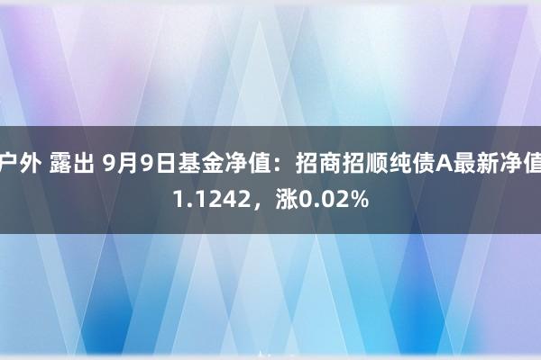 户外 露出 9月9日基金净值：招商招顺纯债A最新净值1.1242，涨0.02%