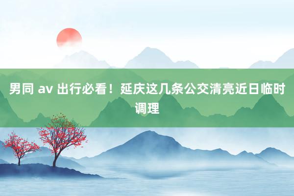 男同 av 出行必看！延庆这几条公交清亮近日临时调理