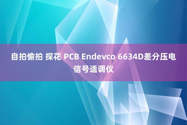 自拍偷拍 探花 PCB Endevco 6634D差分压电信号适调仪