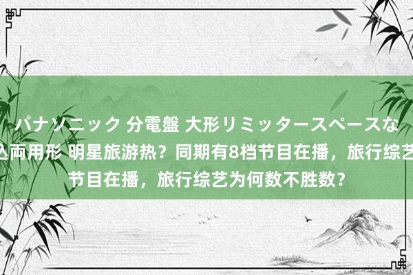 パナソニック 分電盤 大形リミッタースペースなし 露出・半埋込両用形 明星旅游热？同期有8档节目在播，旅行综艺为何数不胜数？