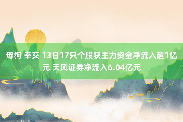 母狗 拳交 13日17只个股获主力资金净流入超1亿元 天风证券净流入6.04亿元