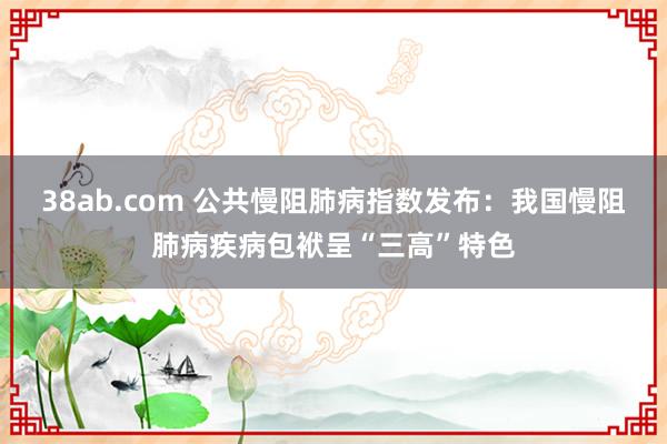 38ab.com 公共慢阻肺病指数发布：我国慢阻肺病疾病包袱呈“三高”特色