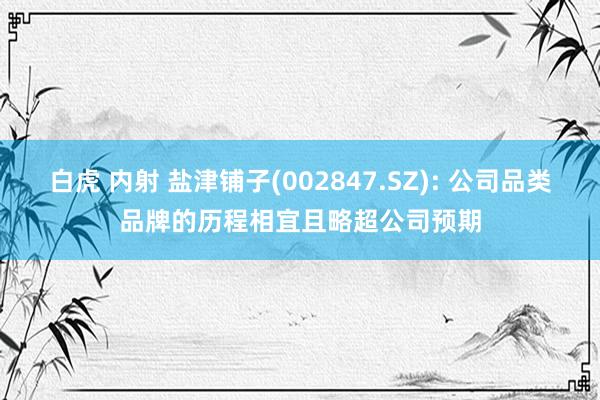 白虎 内射 盐津铺子(002847.SZ): 公司品类品牌的历程相宜且略超公司预期