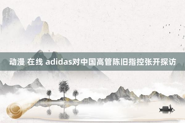 动漫 在线 adidas对中国高管陈旧指控张开探访