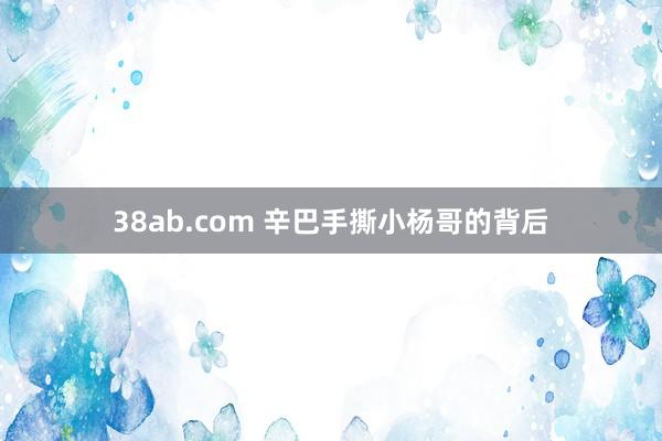 38ab.com 辛巴手撕小杨哥的背后