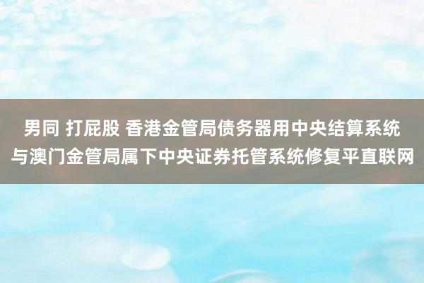 男同 打屁股 香港金管局债务器用中央结算系统与澳门金管局属下中央证券托管系统修复平直联网