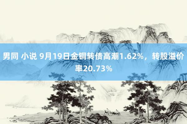 男同 小说 9月19日金铜转债高潮1.62%，转股溢价率20.73%