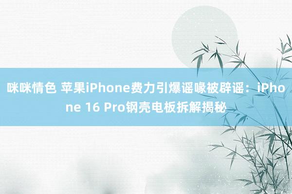 咪咪情色 苹果iPhone费力引爆谣喙被辟谣：iPhone 16 Pro钢壳电板拆解揭秘