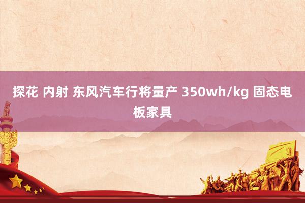 探花 内射 东风汽车行将量产 350wh/kg 固态电板家具