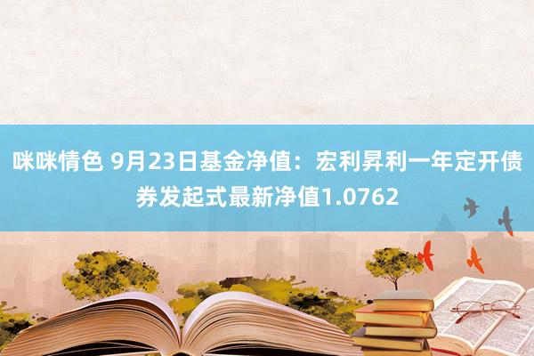 咪咪情色 9月23日基金净值：宏利昇利一年定开债券发起式最新净值1.0762