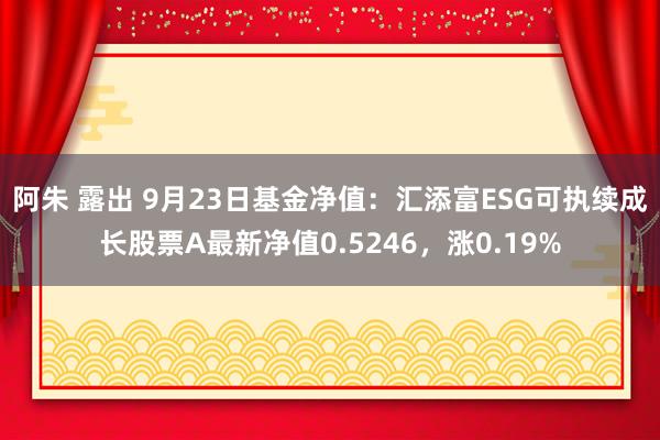 阿朱 露出 9月23日基金净值：汇添富ESG可执续成长股票A最新净值0.5246，涨0.19%