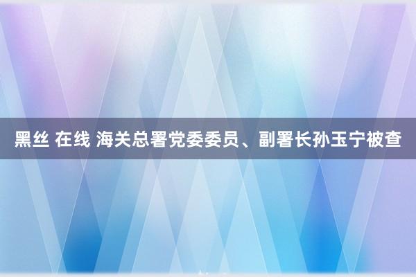 黑丝 在线 海关总署党委委员、副署长孙玉宁被查