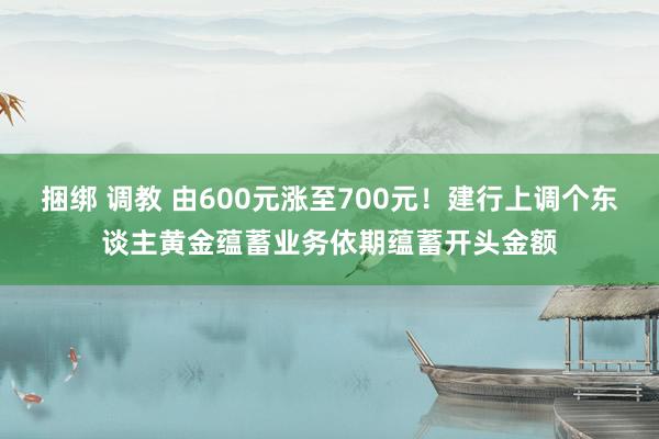 捆绑 调教 由600元涨至700元！建行上调个东谈主黄金蕴蓄业务依期蕴蓄开头金额