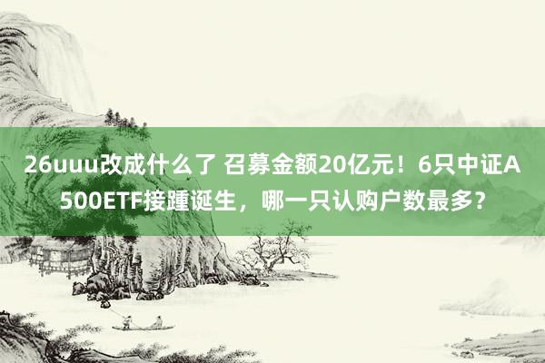 26uuu改成什么了 召募金额20亿元！6只中证A500ETF接踵诞生，哪一只认购户数最多？