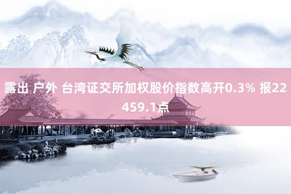 露出 户外 台湾证交所加权股价指数高开0.3% 报22459.1点