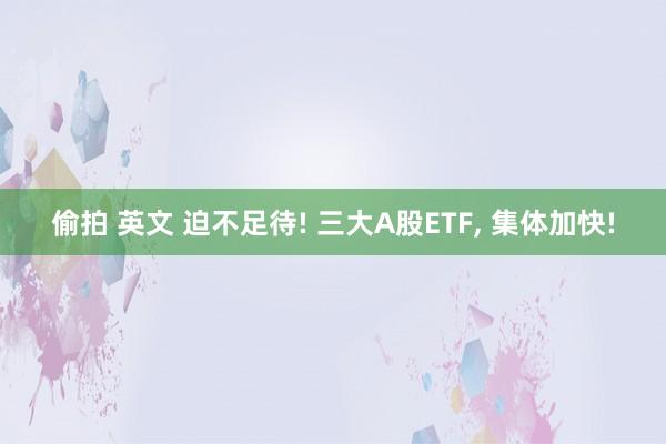 偷拍 英文 迫不足待! 三大A股ETF， 集体加快!