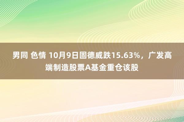 男同 色情 10月9日固德威跌15.63%，广发高端制造股票A基金重仓该股