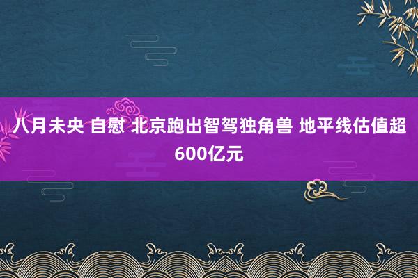 八月未央 自慰 北京跑出智驾独角兽 地平线估值超600亿元