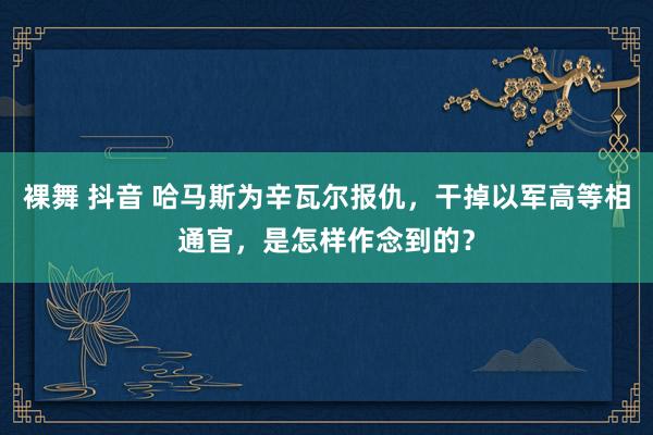 裸舞 抖音 哈马斯为辛瓦尔报仇，干掉以军高等相通官，是怎样作念到的？