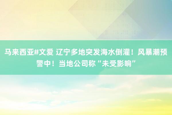 马来西亚#文爱 辽宁多地突发海水倒灌！风暴潮预警中！当地公司称“未受影响”