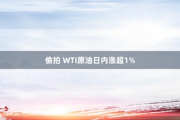 偷拍 WTI原油日内涨超1%