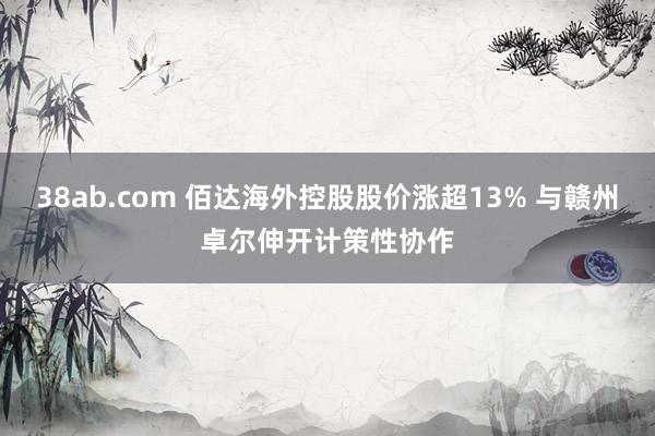 38ab.com 佰达海外控股股价涨超13% 与赣州卓尔伸开计策性协作