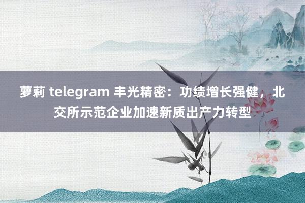 萝莉 telegram 丰光精密：功绩增长强健，北交所示范企业加速新质出产力转型