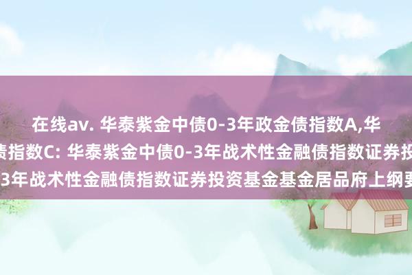 在线av. 华泰紫金中债0-3年政金债指数A，华泰紫金中债0-3年政金债指数C: 华泰紫金中债0-3年战术性金融债指数证券投资基金基金居品府上纲要