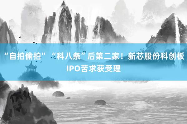 “自拍偷拍” “科八条”后第二家！新芯股份科创板IPO苦求获受理