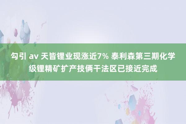 勾引 av 天皆锂业现涨近7% 泰利森第三期化学级锂精矿扩产技俩干法区已接近完成