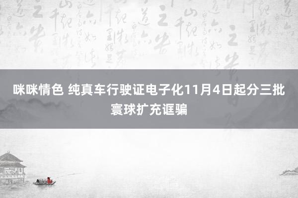 咪咪情色 纯真车行驶证电子化11月4日起分三批寰球扩充诓骗