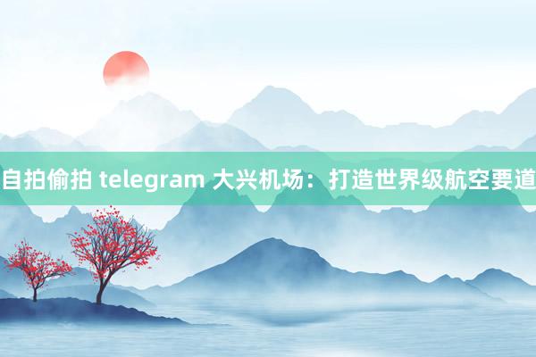 自拍偷拍 telegram 大兴机场：打造世界级航空要道