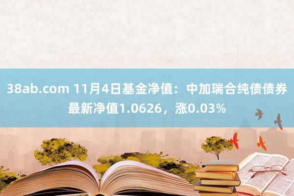 38ab.com 11月4日基金净值：中加瑞合纯债债券最新净值1.0626，涨0.03%