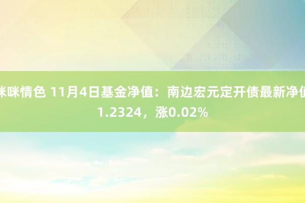 咪咪情色 11月4日基金净值：南边宏元定开债最新净值1.2324，涨0.02%