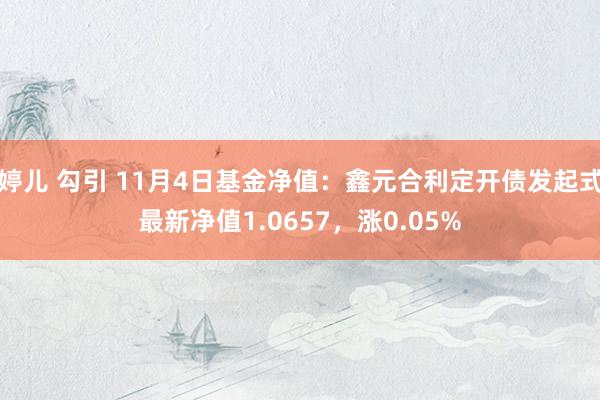 婷儿 勾引 11月4日基金净值：鑫元合利定开债发起式最新净值1.0657，涨0.05%