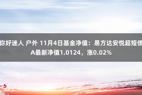 你好迷人 户外 11月4日基金净值：易方达安悦超短债A最新净值1.0124，涨0.02%