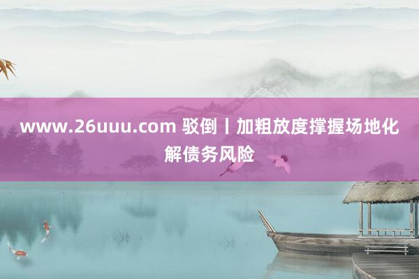 www.26uuu.com 驳倒丨加粗放度撑握场地化解债务风险