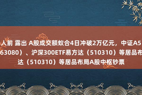 人前 露出 A股成交额蚁合4日冲破2万亿元，中证A50ETF易方达（563080）、沪深300ETF易方达（510310）等居品布局A股中枢钞票