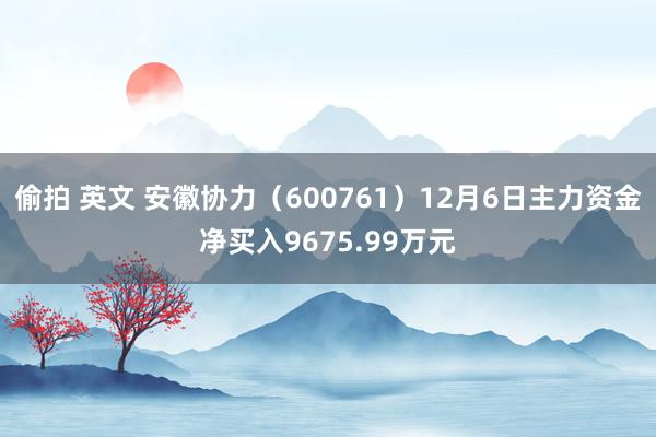 偷拍 英文 安徽协力（600761）12月6日主力资金净买入9675.99万元