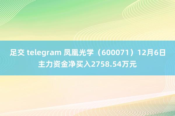 足交 telegram 凤凰光学（600071）12月6日主力资金净买入2758.54万元