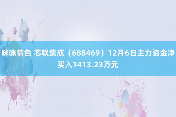 咪咪情色 芯联集成（688469）12月6日主力资金净买入1413.23万元