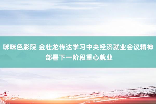 咪咪色影院 金壮龙传达学习中央经济就业会议精神 部署下一阶段重心就业