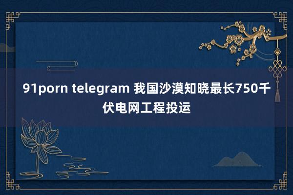 91porn telegram 我国沙漠知晓最长750千伏电网工程投运