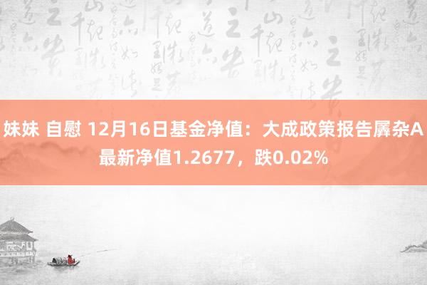 妹妹 自慰 12月16日基金净值：大成政策报告羼杂A最新净值1.2677，跌0.02%