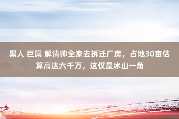 黑人 巨屌 解清帅全家去拆迁厂房，占地30亩估算高达六千万，这仅是冰山一角