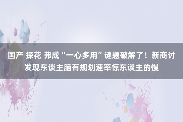 国产 探花 弗成“一心多用”谜题破解了！新商讨发现东谈主脑有规划速率惊东谈主的慢