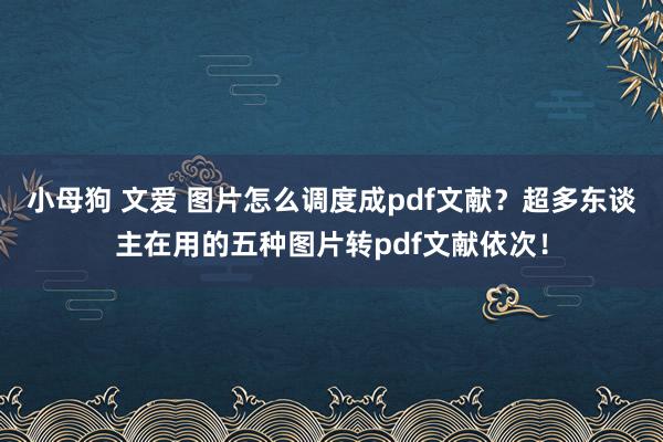 小母狗 文爱 图片怎么调度成pdf文献？超多东谈主在用的五种图片转pdf文献依次！